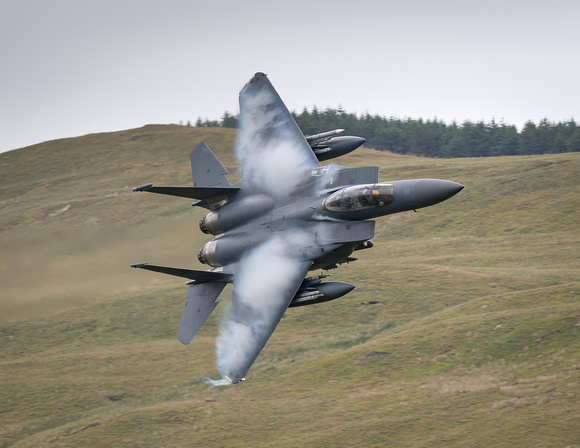 McDonnell Douglas F-15E Eagle (91-331) 492d  'The Madhatters'