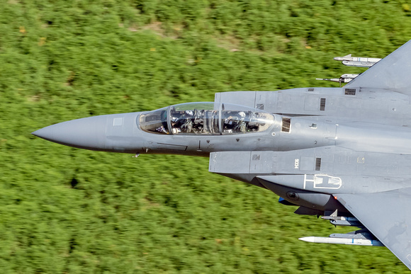 McDonnell Douglas F-15E Strike Eagle (LN 91-334) 494th FS 'Black Panthers'