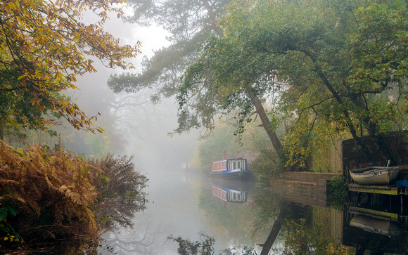 Autumn on the Basingstoke canal