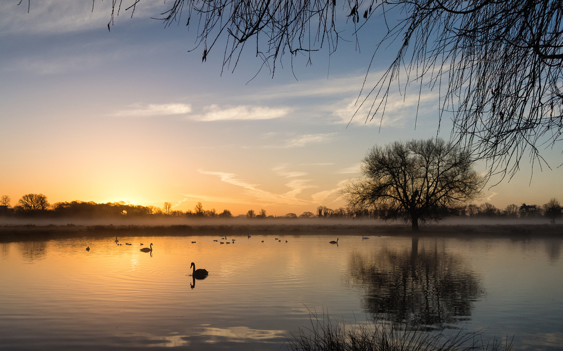 Sunrise in Bushy Park