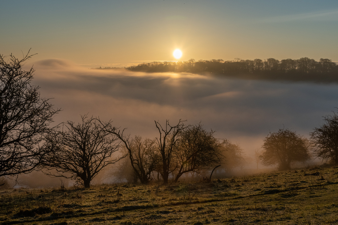 An Ashridge Sunrise